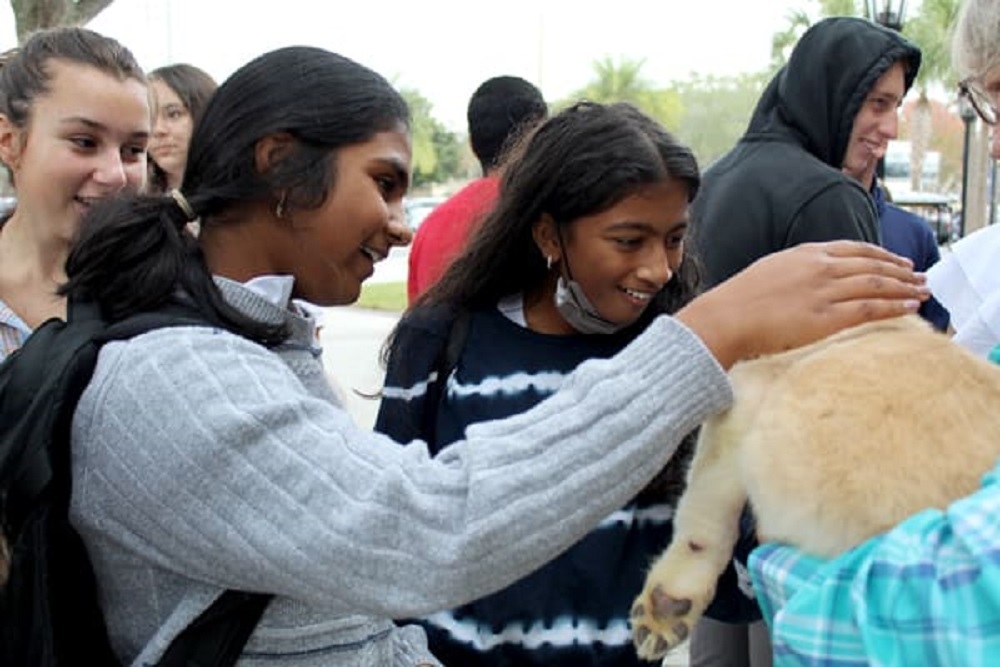 Therapy Dogs Help Students Relax Before Midterm Exams