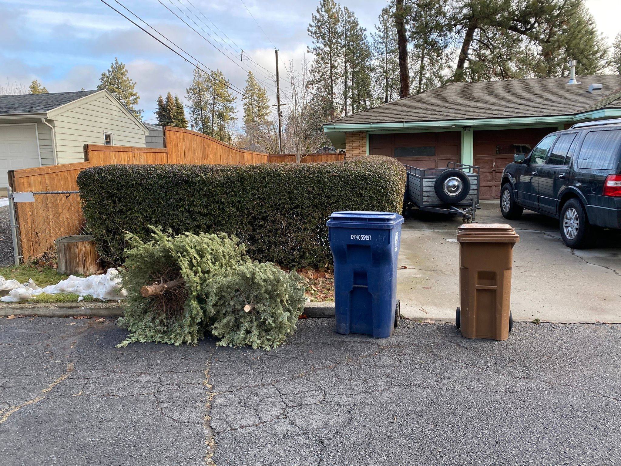 Mr. Grinch here to remind you we are offering free tree pickup for our residents