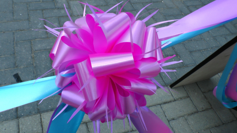 County of Upson announces Grand Opening for the Thomaston-Upson Archives and Pettigrew White Stamps House County of Upson announces Grand Opening for the Thomaston-Upson Archives and Pettigrew White Stamps House