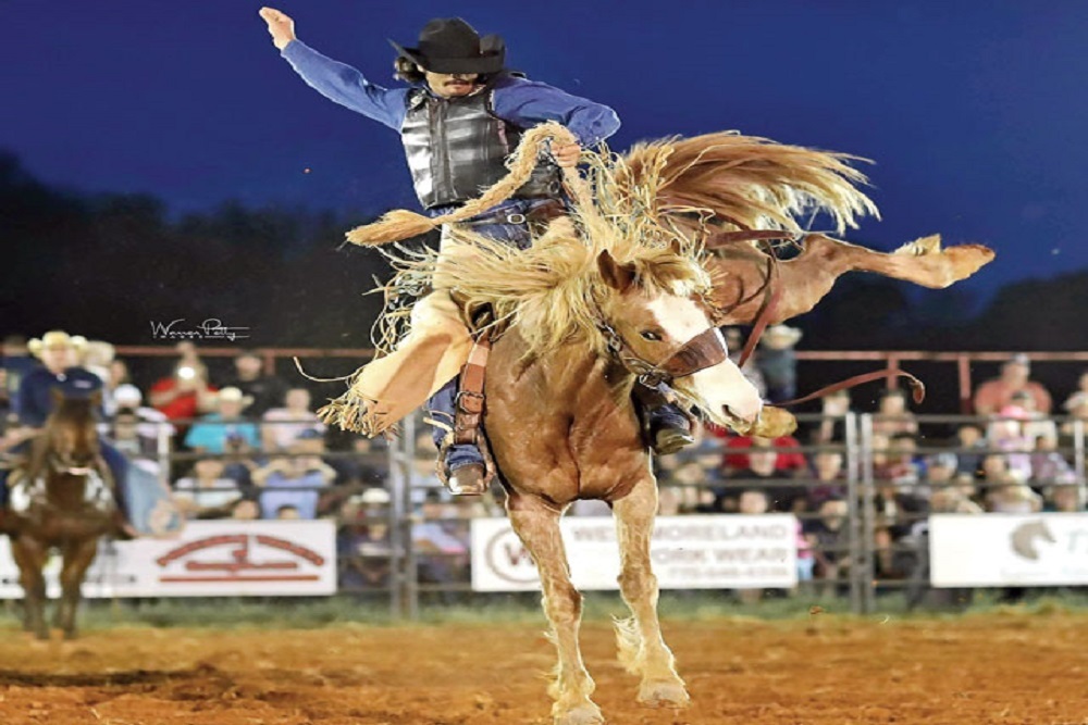 5th Dist. High School Rodeo @ Elmore Co Fairgrounds to be held April 8