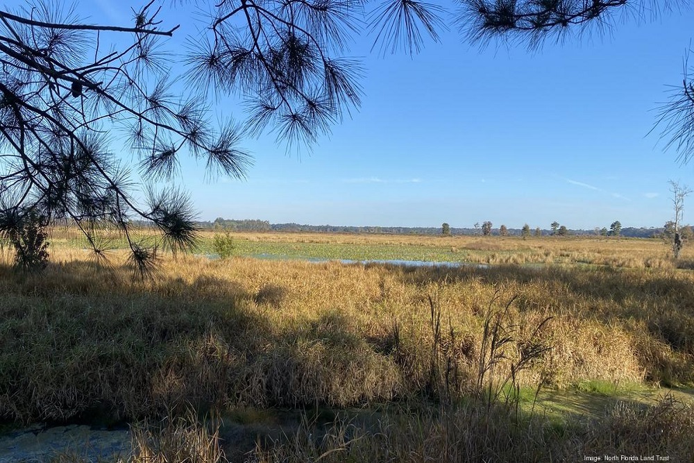 St. Johns County Chamber of Commerce: North Florida Land Trust has acquired a parcel of land for conservation from the Weyerhaeuser Corporation St. Johns County Chamber of Commerce: North Florida Land Trust has acquired a parcel of land for conservation from the Weyerhaeuser Corporation
