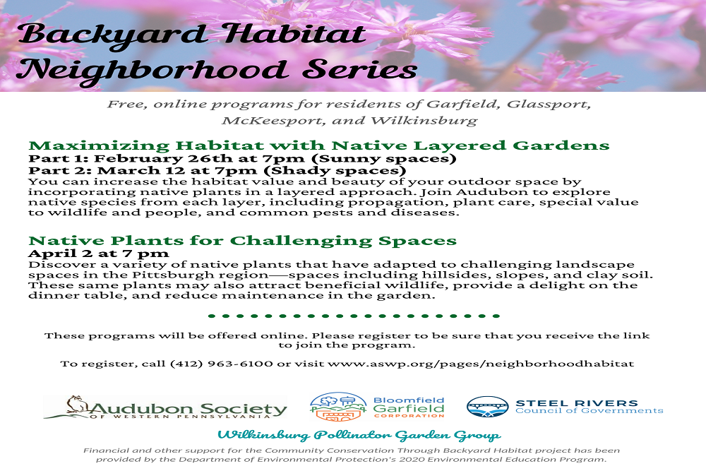 “Maximizing Habitat with Native Layered Gardens” Part 2 on March 12