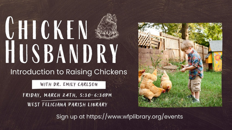 Chicken Husbandry: Free Introduction to Raising Chickens to be held on March 25, 2023