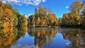 Bradley Lake Ad Hoc Committee on March 8