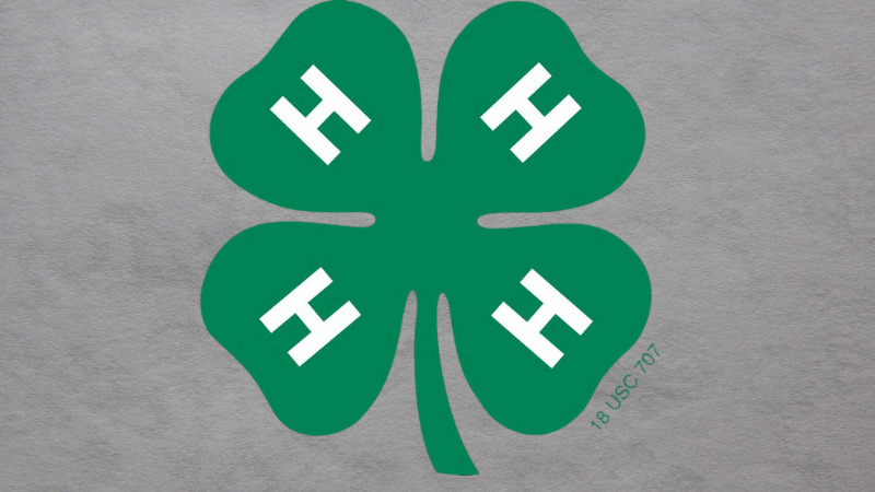 Annual 4-H Speech Contest a Success