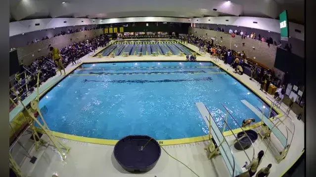 Wayne State swimmer Evie Dice receives NCAA postgraduate scholarship Wayne State swimmer Evie Dice receives NCAA postgraduate scholarship