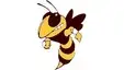 Williamstown Yellowjackets travel to face Ritchie County Rebels in baseball matchup