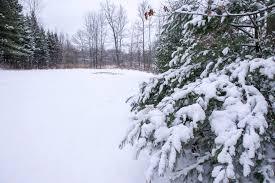 Campus Closing Early Today, No Classes Tuesday, Jan. 31, Due to Winter Storm