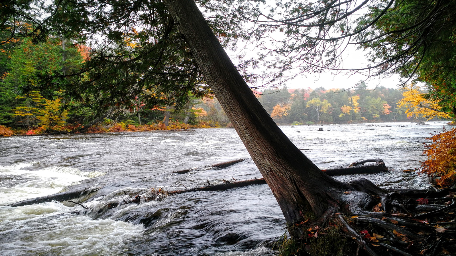 Michigan Dept. of Natural Resources director on  million grant to restore rivers: ‘Fish and other organisms in the water need to move’
