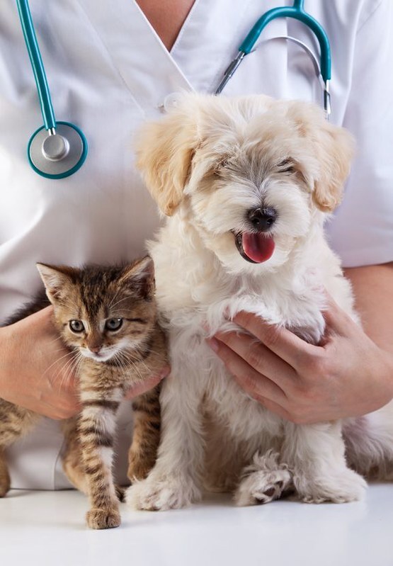 Free Dog and Cat Vaccine Clinic