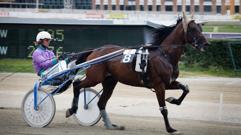 Village of Pinehurst – Government Announces the Running of Heather Vitale at the Pinehurst Harness Track