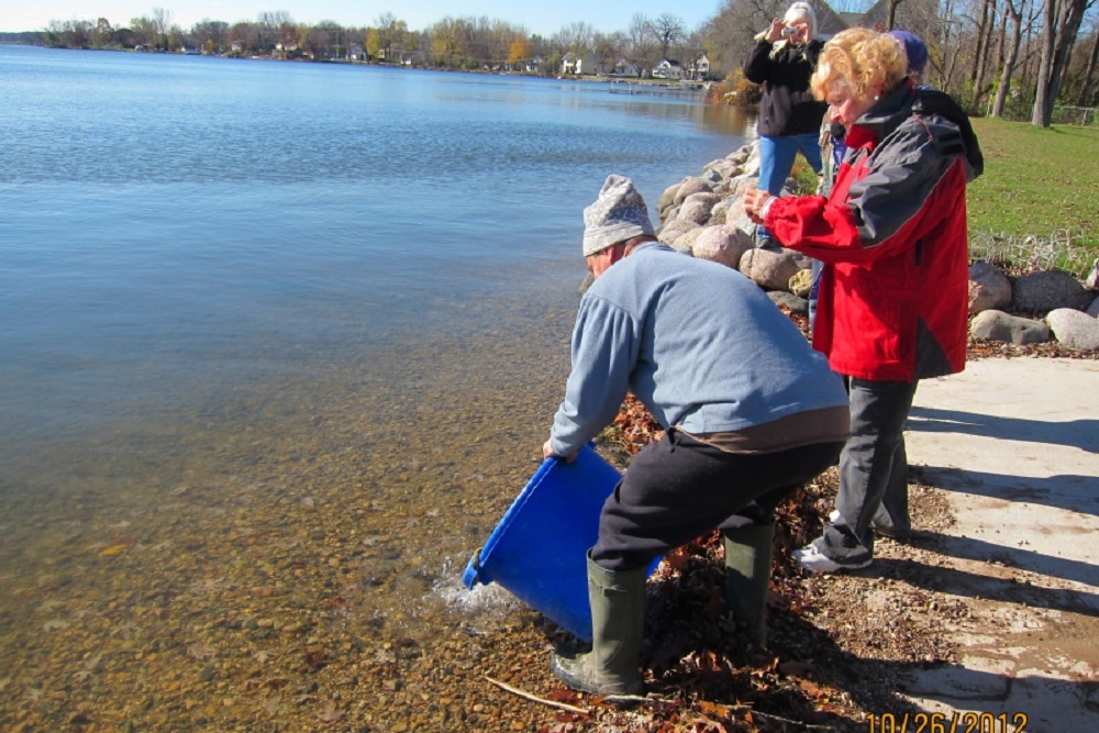 Browns Lake Carp Roundup to be held June 4 Browns Lake Carp Roundup to be held June 4