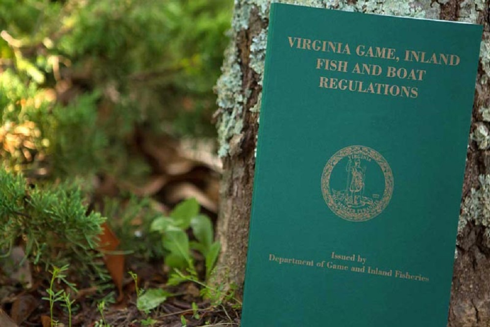 2022 Recreational Fishing, Aquatic Wildlife, and Boating Regulation Cycle