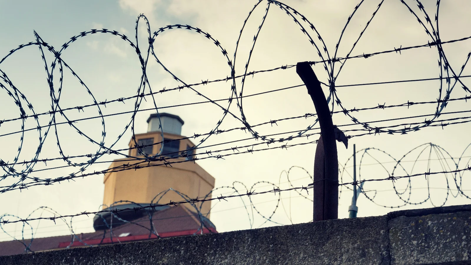 How did Sullivan County rank in the state by highest number of inmates sentenced in May? How did Sullivan County rank in the state by highest number of inmates sentenced in May?