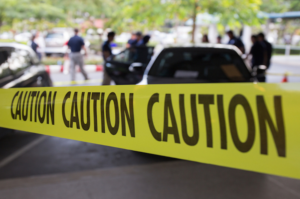 CITY OF RENO: Newest Reno Fire Department hire “nose” arson crime