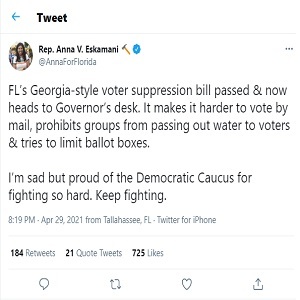 GOP lawmakers defend Florida’s new voting measure, call it fairer than Northeastern states