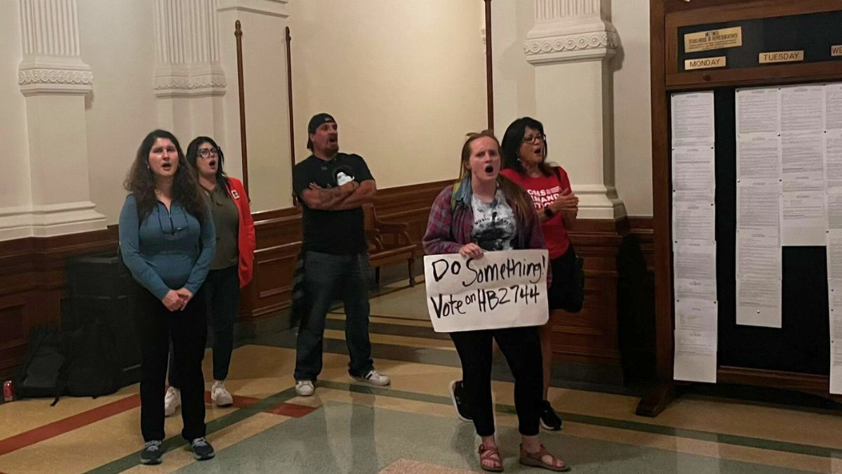 Age limit for semi-automatic rifles stalls, fails to make house agenda