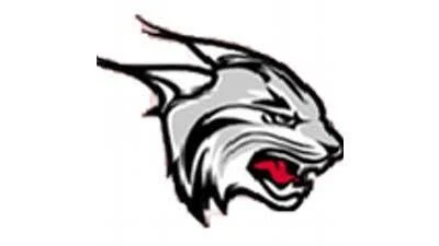 Rhodes Lynx fall to Washington Bears in NCAA Division III softball matchup Rhodes Lynx fall to Washington Bears in NCAA Division III softball matchup