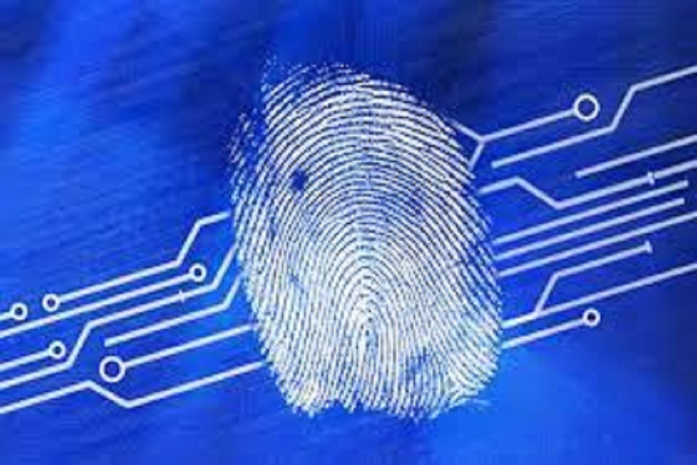 MOORESVILLE PARKS & RECREATION: Forensic CSI Camp