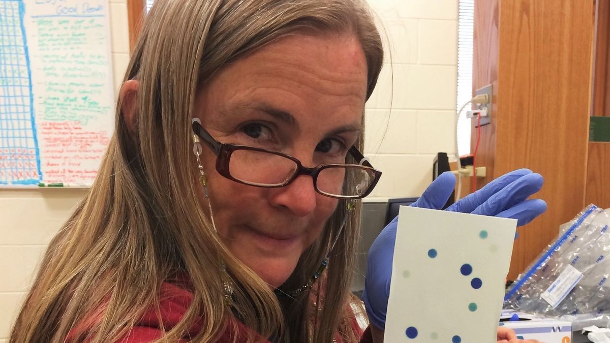 K’s Girdler: ‘Fun to be a part of’ global research into urbanization and climate change