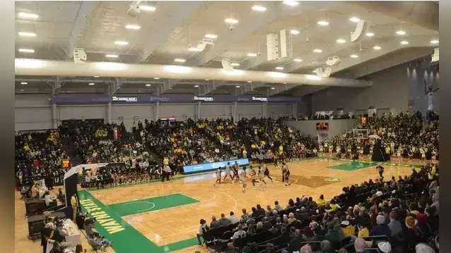 Wayne State athletes earn all-conference recognition ahead of semifinals