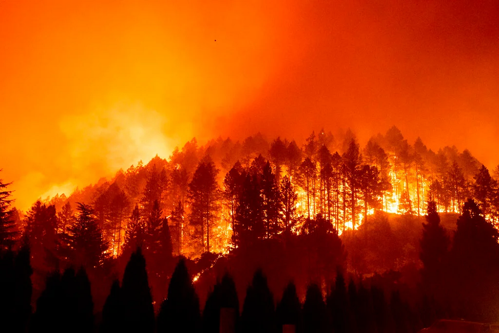 It’s #SmokeReady week