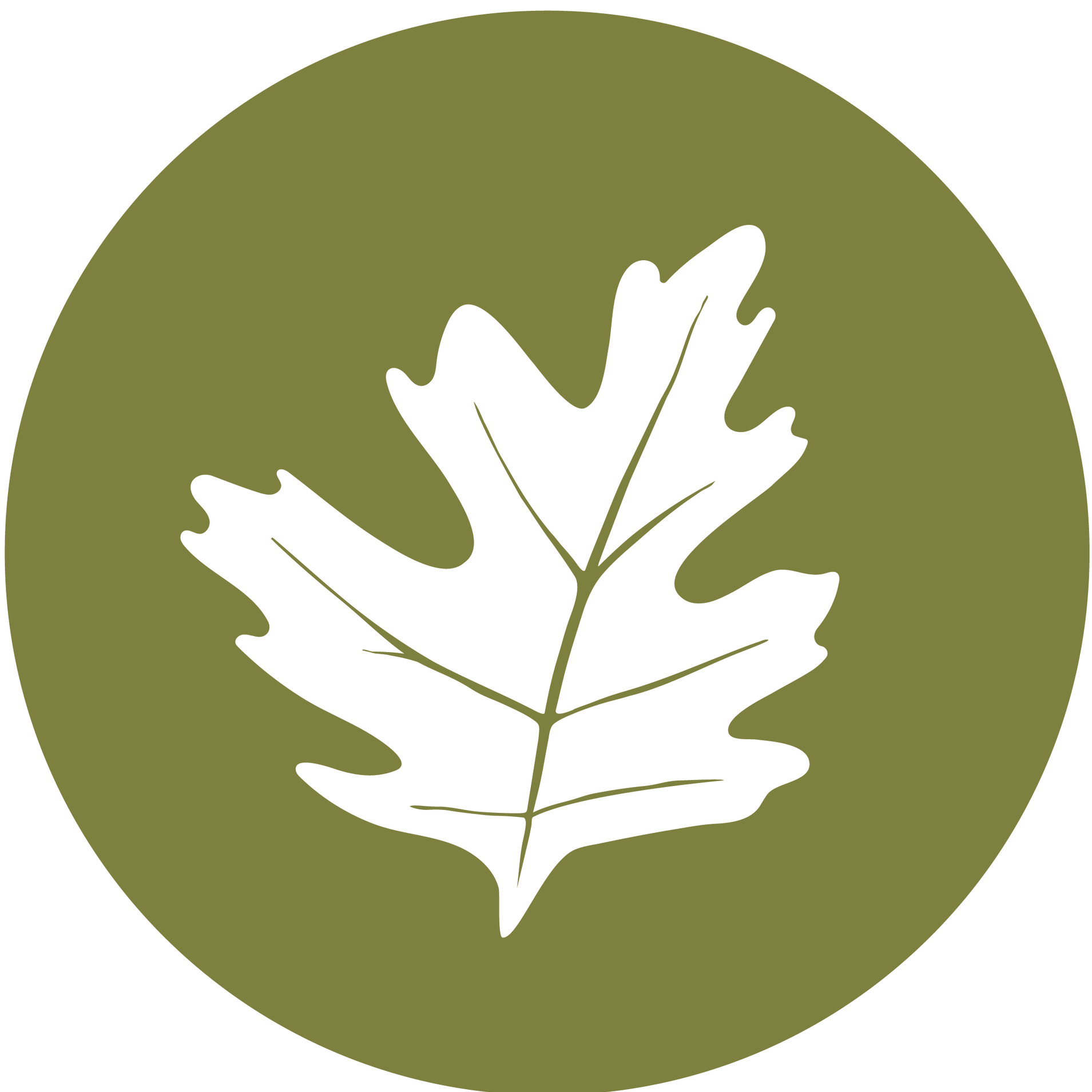 Applicants Sought for Kalamazoo Youth Action Council