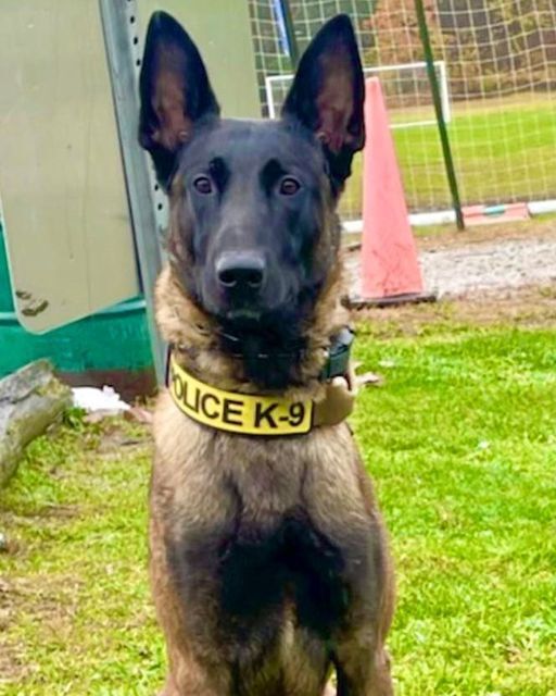 Team Tuesday: The Faces of the Montpelier Police Department