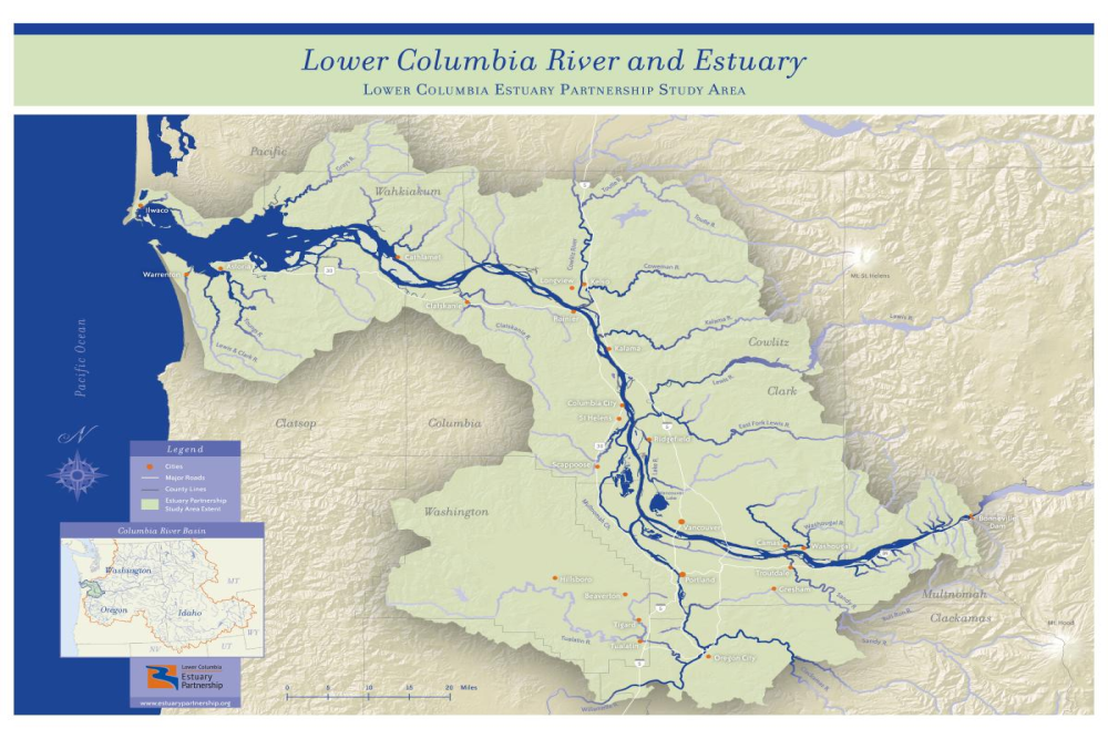 Lower Columbia River update Lower Columbia River update