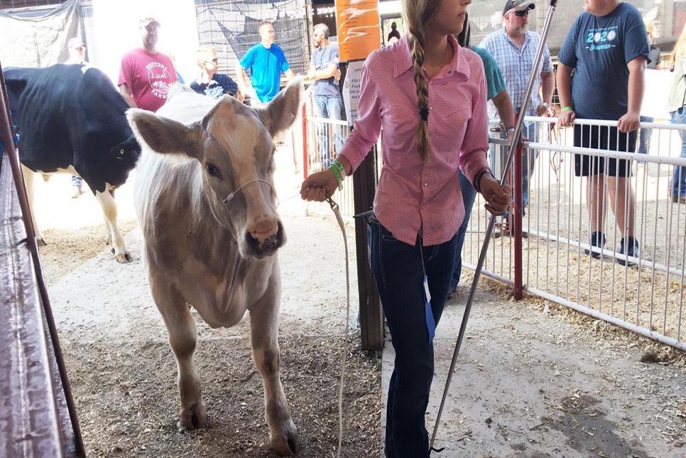 A Day At The Fair For Nathan Rehberg to be held April 23 A Day At The Fair For Nathan Rehberg to be held April 23