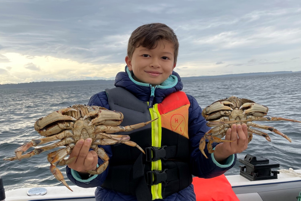 Winter crabbing season opens Oct. 1 in several Puget Sound marine areas