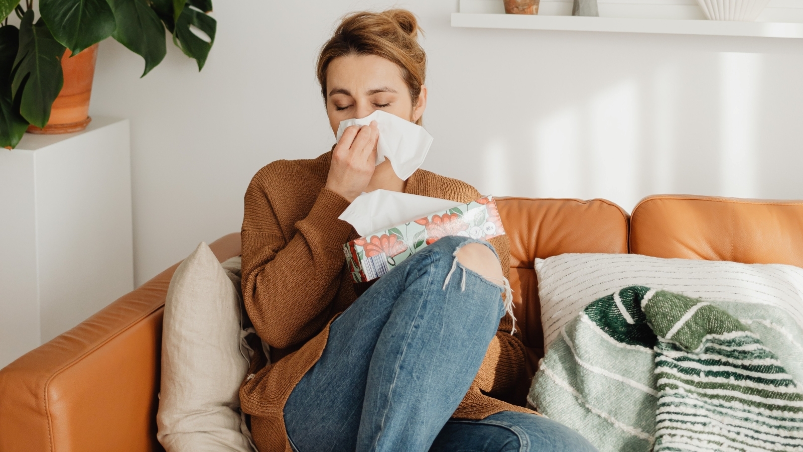 St. Petersburg doctor says there are several options available for allergy testing