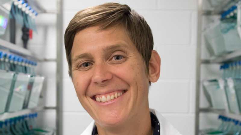 Battling treacherous wilderness for the sake of science