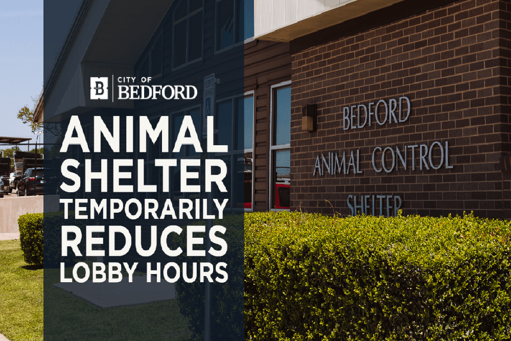 Animal Shelter Temporarily Reduces Lobby Hours