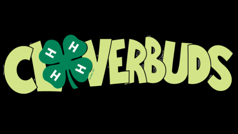 Marshall-Lyon County Library hosts loverbud Connections on April 10, 2023
