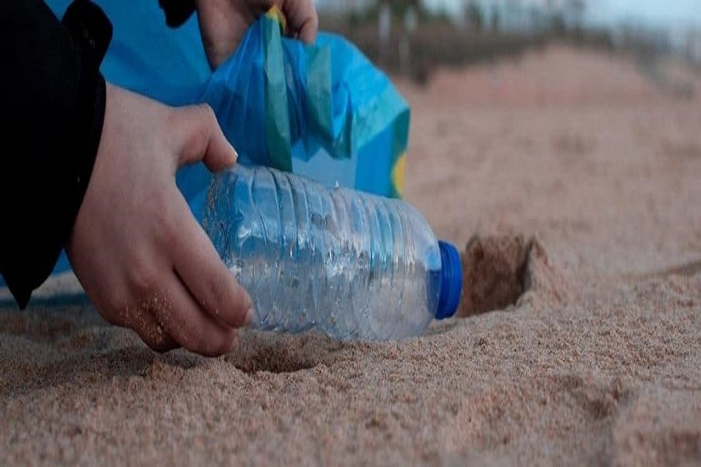 SELMA PARKS AND RECREATION: Fall Litter Sweep Day Reminder