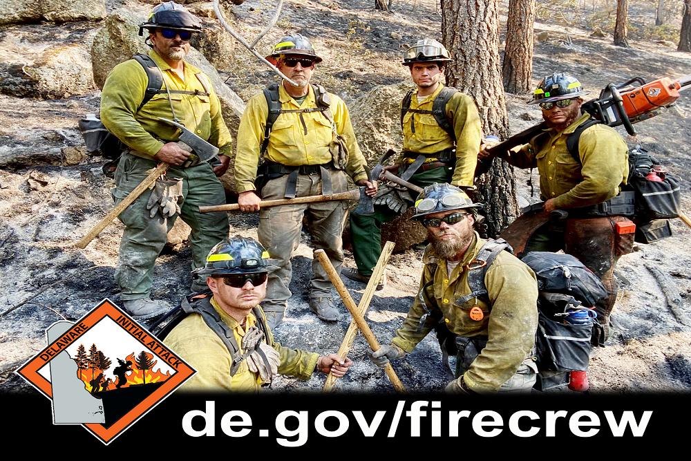 Wildfire Training Classes Online