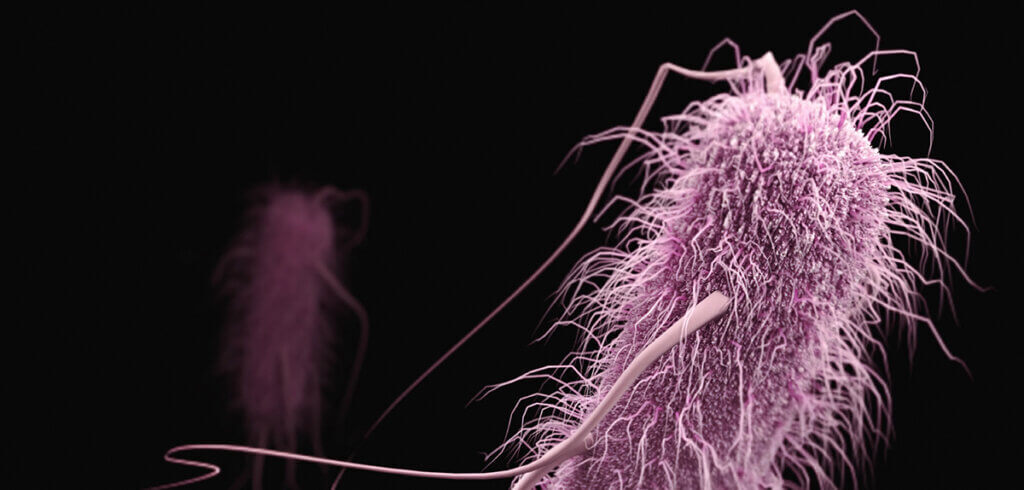 April Conference at Purdue University Targets Antimicrobial Resistance
