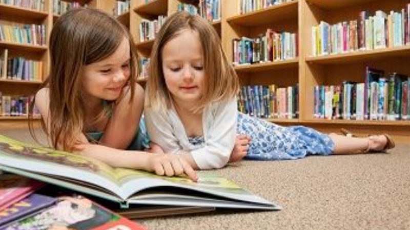 West Maple Elementary School librarian named president of the Michigan Association of School Librarians