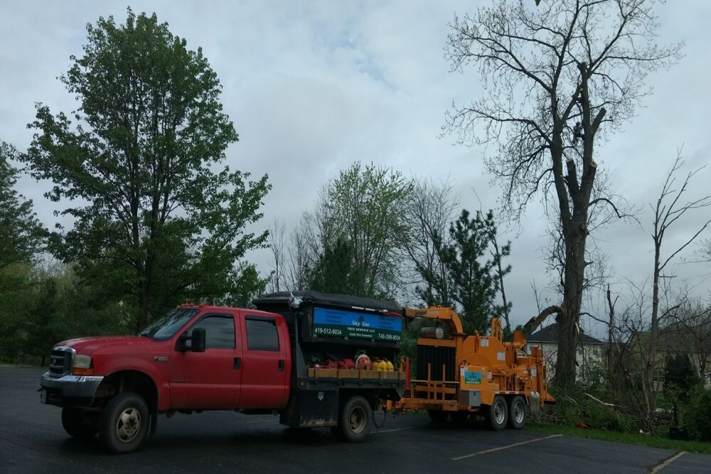 Hazardous trees to be removed at Foley and Tiger Tree Neighborhood Parks