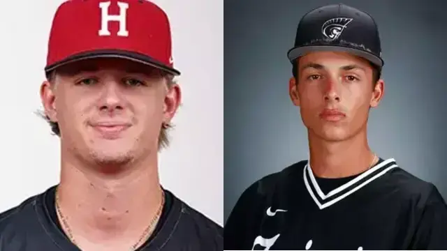 Which former Naples Standard area high school standouts will be in action in the week starting Monday, March 31?