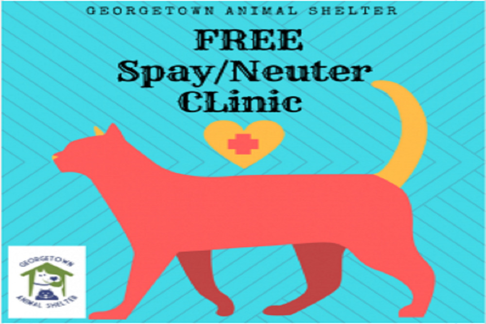 Free Spay/Neuter Clinic for Detroit Dogs