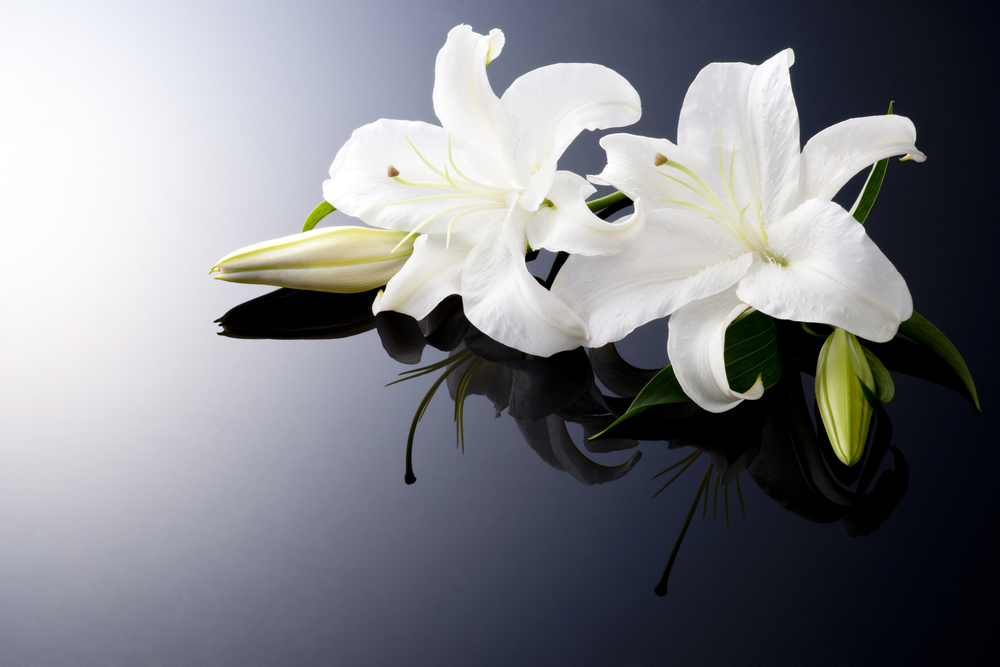 CITY OF RICHMOND: Officer Decker/Law Enforcement Memorial CITY OF RICHMOND: Officer Decker/Law Enforcement Memorial