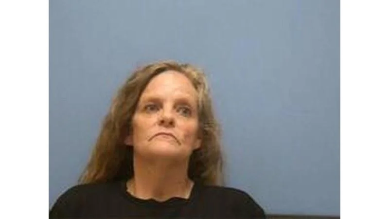 At least 8 people booked at Mississippi County facility on July 28