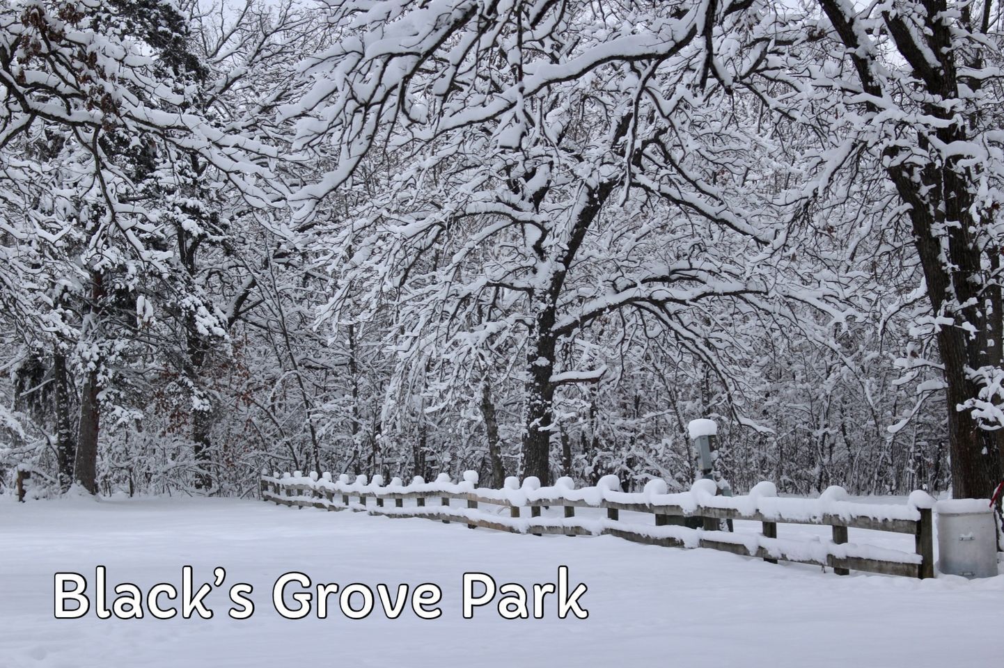Black’s Grove Park