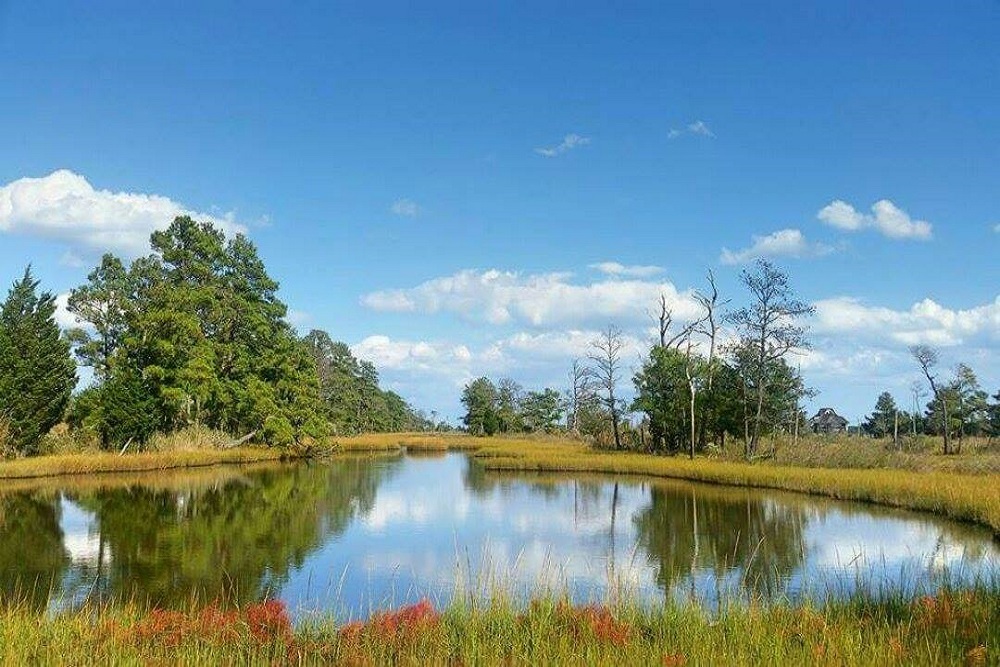 Connecting with Nature On Chincoteague Island