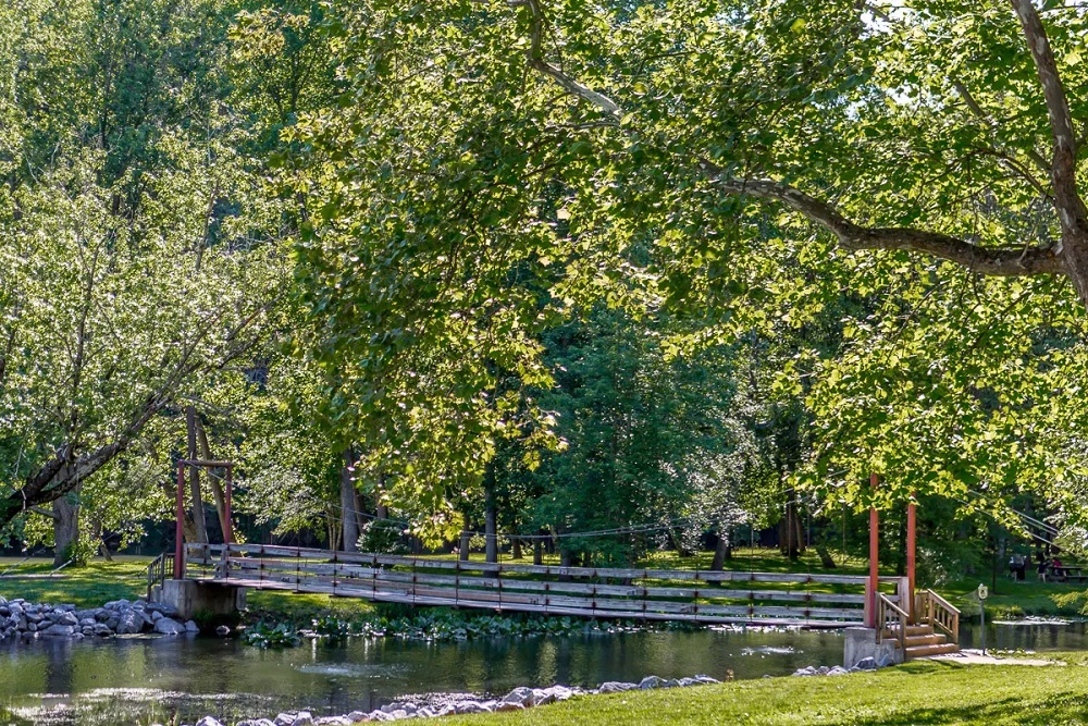 Sneakers & Strollers at Wildwood