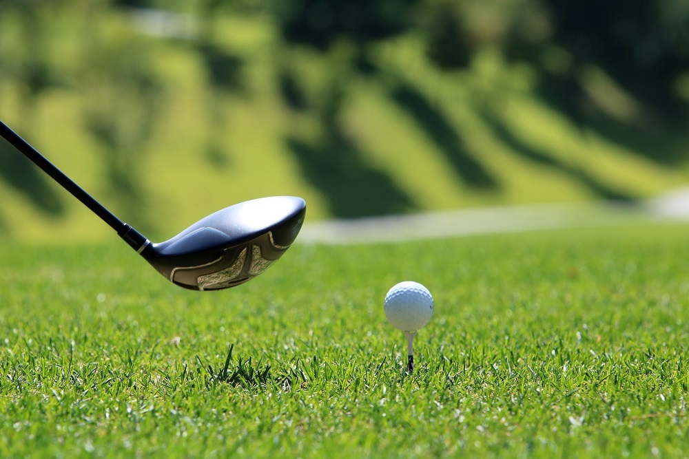 Business & Birdies