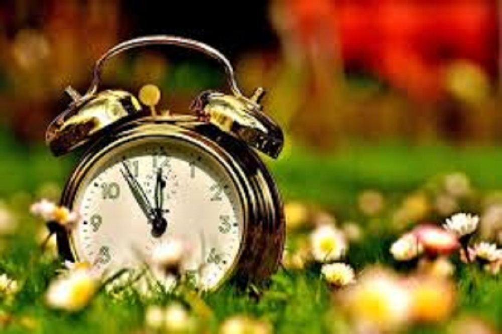 CITY OF GOLDSBORO PARK AND RECREATION DEPARTMENT: Listing of Hours for the Facilities of Parks and Rec. CITY OF GOLDSBORO PARK AND RECREATION DEPARTMENT: Listing of Hours for the Facilities of Parks and Rec.