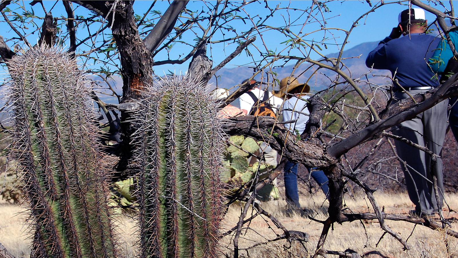 According to the CBP, border patrol agent encounters with people trying to illegally enter the U.S. between Oct. 1, 2020 and Sept. 30, 2021 rose to 1.956 million, up from 646,822 during the previous year. According to the CBP, border patrol agent encounters with people trying to illegally enter the U.S. between Oct. 1, 2020 and Sept. 30, 2021 rose to 1.956 million, up from 646,822 during the previous year.